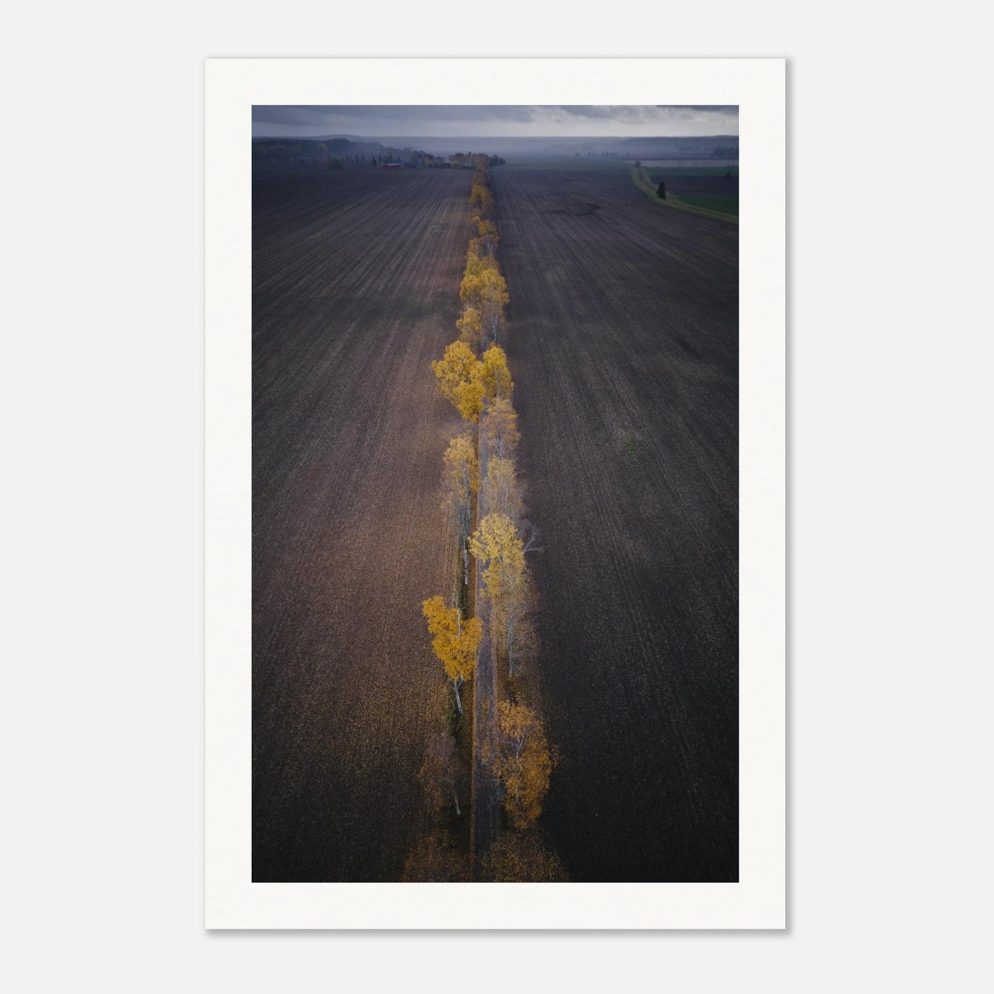 e7246e3b-a5cd-47cb-b4d5-0734b277d207