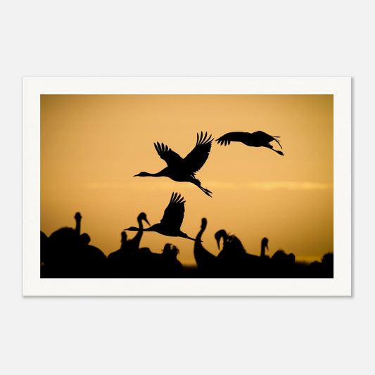 00206cf4-0ca1-48ae-8d3b-8c2b3e63f9ae