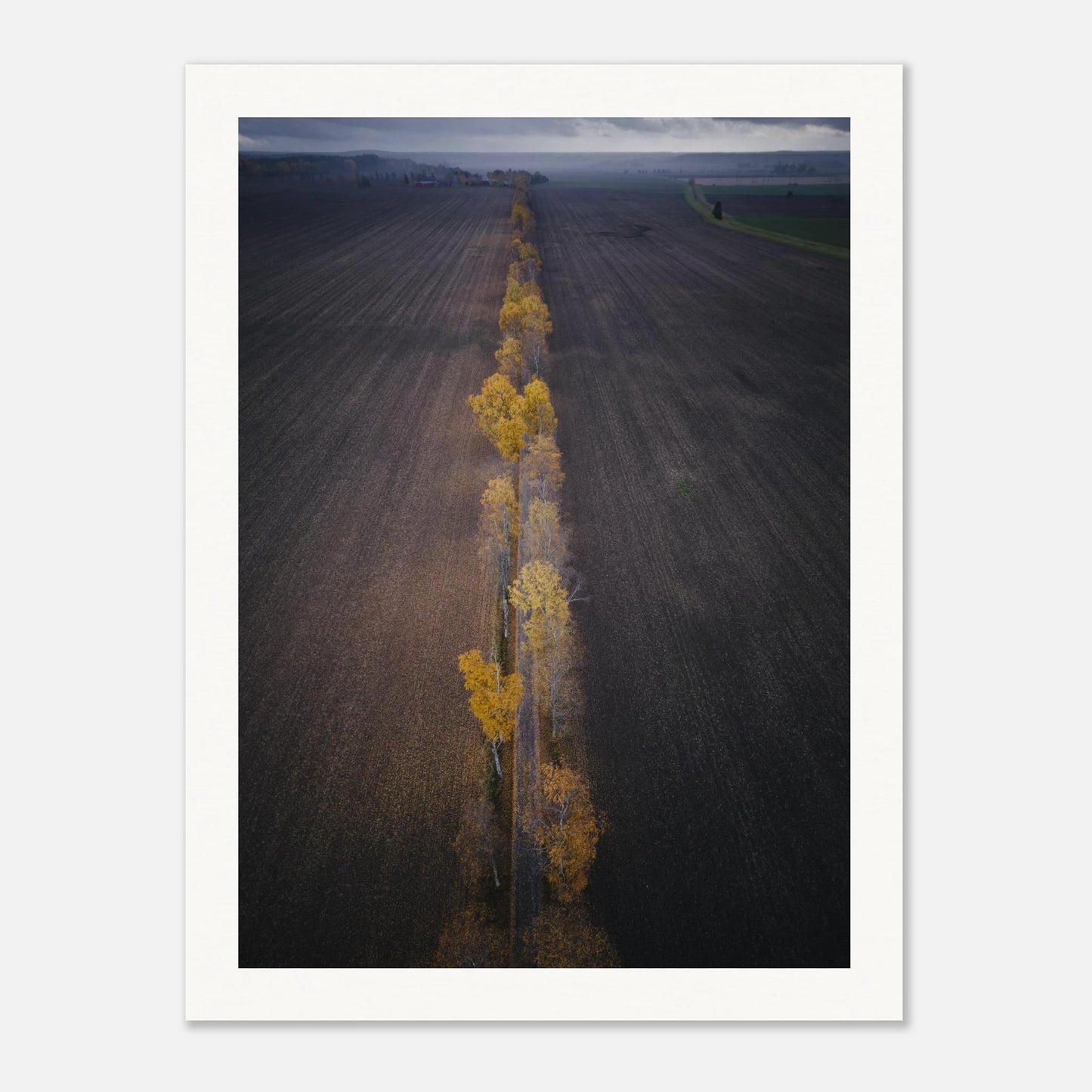 9840a70c-4492-49e3-bca7-5be529a9e316