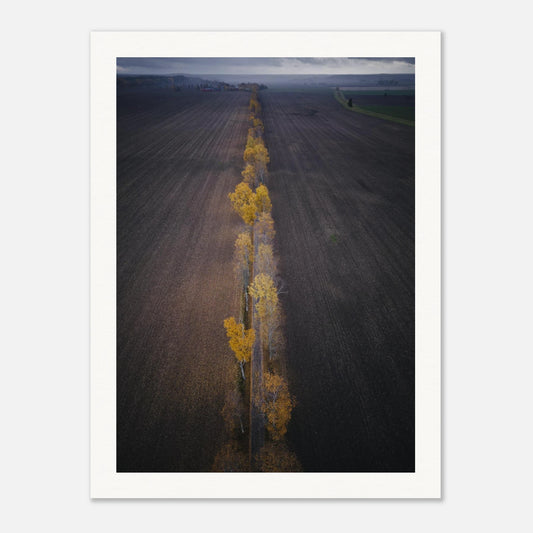 9840a70c-4492-49e3-bca7-5be529a9e316