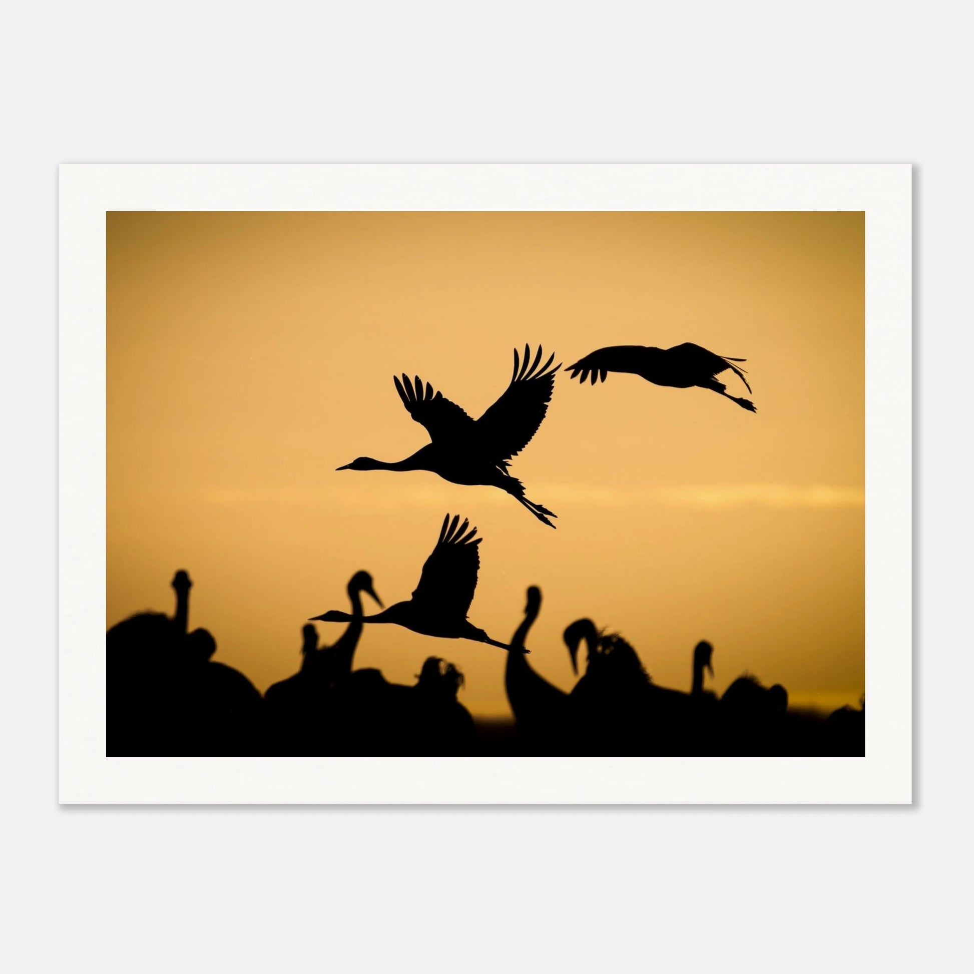 a7707970-4627-4512-94f3-b70b2f6bd8f2