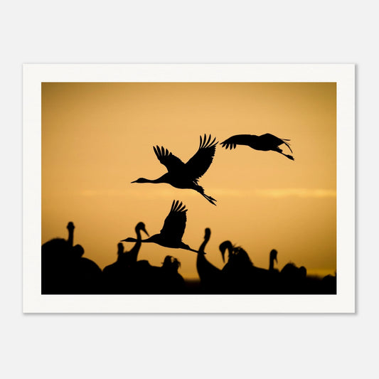 a7707970-4627-4512-94f3-b70b2f6bd8f2